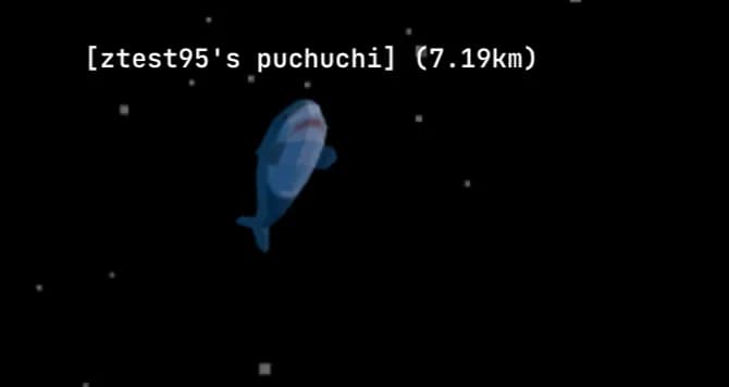 puchuchi was close enough to inspect