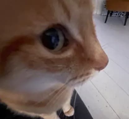enhance