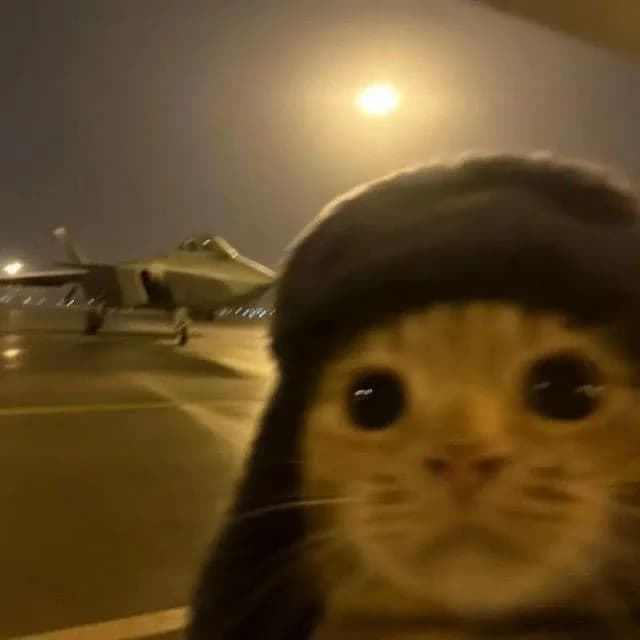 nothing to see here